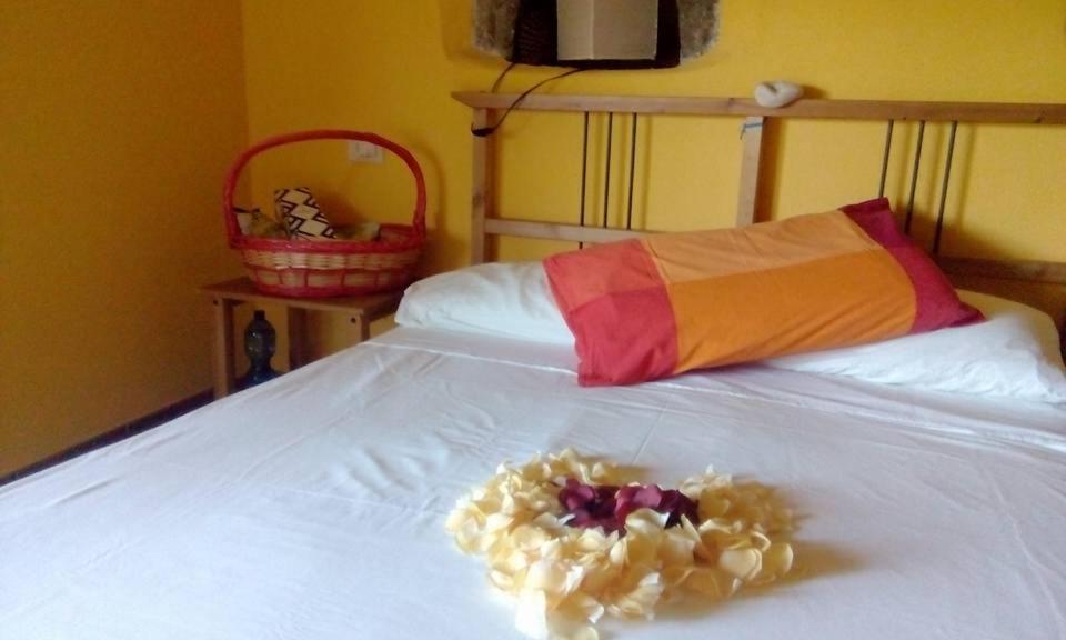 Farmhouse B&B Castagnola 64 Ne 외부 사진