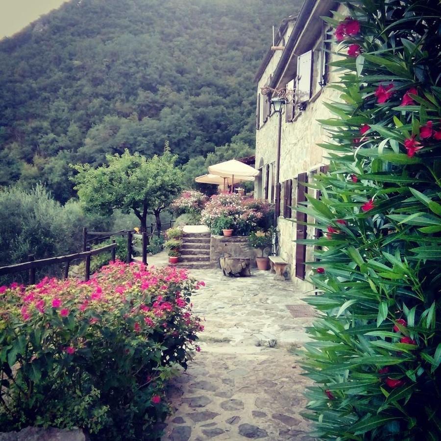 Farmhouse B&B Castagnola 64 Ne 외부 사진
